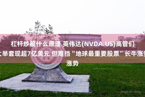 杠杆炒股什么原理 英伟达(NVDA.US)高管们大举套现超7亿美元 但难挡“地球最重要股票”长牛涨势