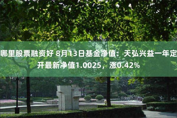 哪里股票融资好 8月13日基金净值：天弘兴益一年定开最新净值1.0025，涨0.42%