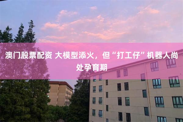 澳门股票配资 大模型添火，但“打工仔”机器人尚处孕育期