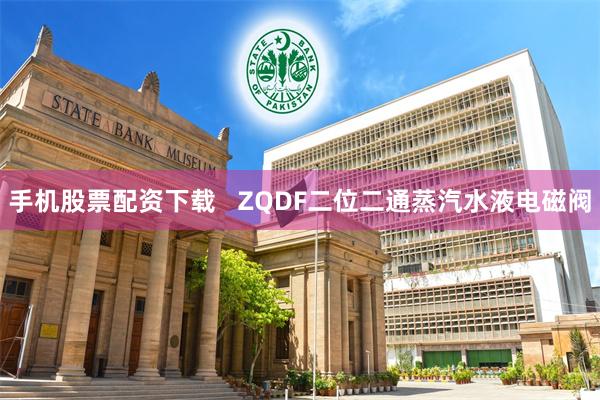 手机股票配资下载   ZQDF二位二通蒸汽水液电磁阀