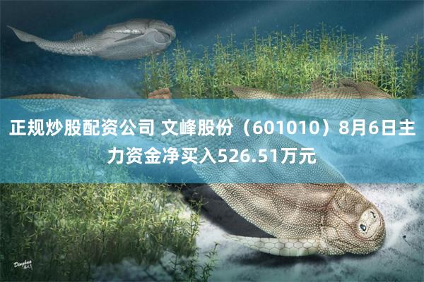 正规炒股配资公司 文峰股份（601010）8月6日主力资金净买入526.51万元