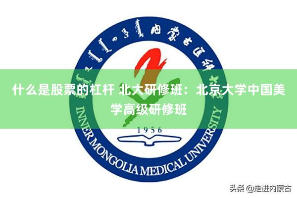 什么是股票的杠杆 北大研修班：北京大学中国美学高级研修班