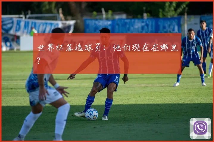 世界杯落选球员:他们现在在哪里?