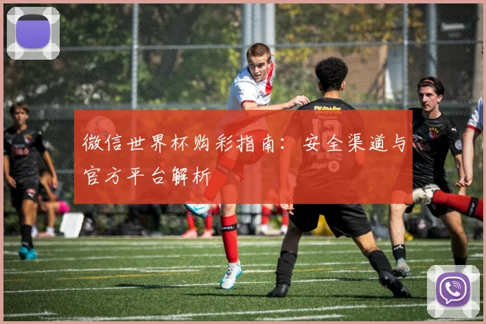 微信世界杯购彩指南：安全渠道与官方平台解析