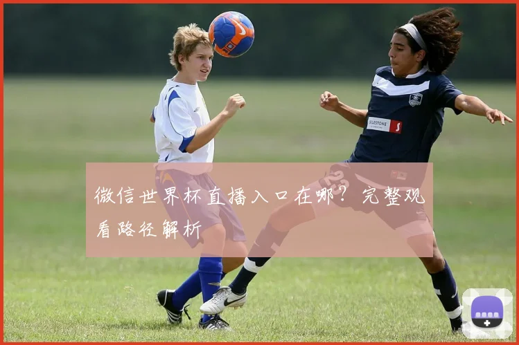 微信世界杯直播入口在哪？完整观看路径解析