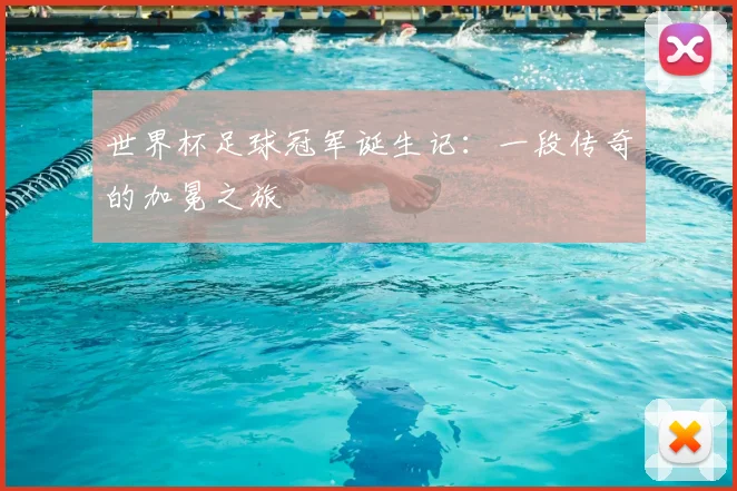 世界杯足球冠军诞生记：一段传奇的加冕之旅